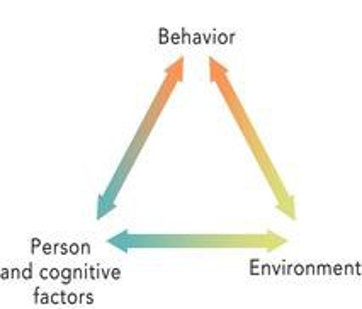 <p>a psychological theory that emphasized the dynamic interaction between people (personal factors), their behavior, and their environments</p>