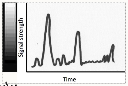 <ul><li><p>loudness or amplitude of returning echoes are displayed on the screen with increasing signal strength depicted as whiter. </p></li><li><p>Grey scale is used for diagnostic interpretation. </p></li></ul><p></p>