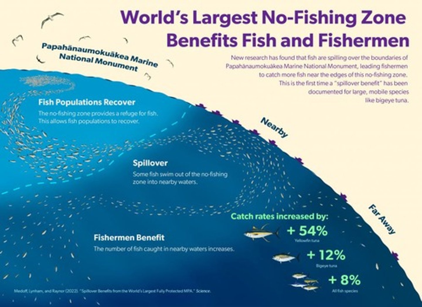 <p>Designated regions to prevent overfishing and protect ecosystems.</p>