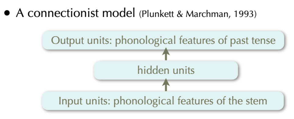 <p>Properties:</p><ul><li><p>Early in training, the model shows tendency to overgeneralize; by the end of training, it exhibits near perfect performance</p></li><li><p>U-shaped performance is achieved using a single learning mechanism, but depends on sudden change in the training size</p></li></ul><p></p>