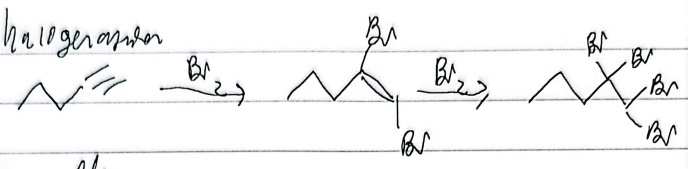 <p>trans-addition</p>