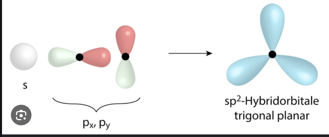 <p>ein s-Orbital &amp; zwei p-Orbitale ergeben drei sp2-Orbitale &amp; ein p-Orbital → ist übrig</p><p>bei Alkenen (Doppelbindungen), eine Sigma &amp; eine Pi-Bindung</p>