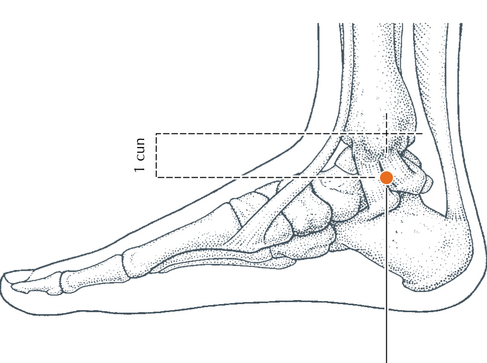 <p>KD-6</p>