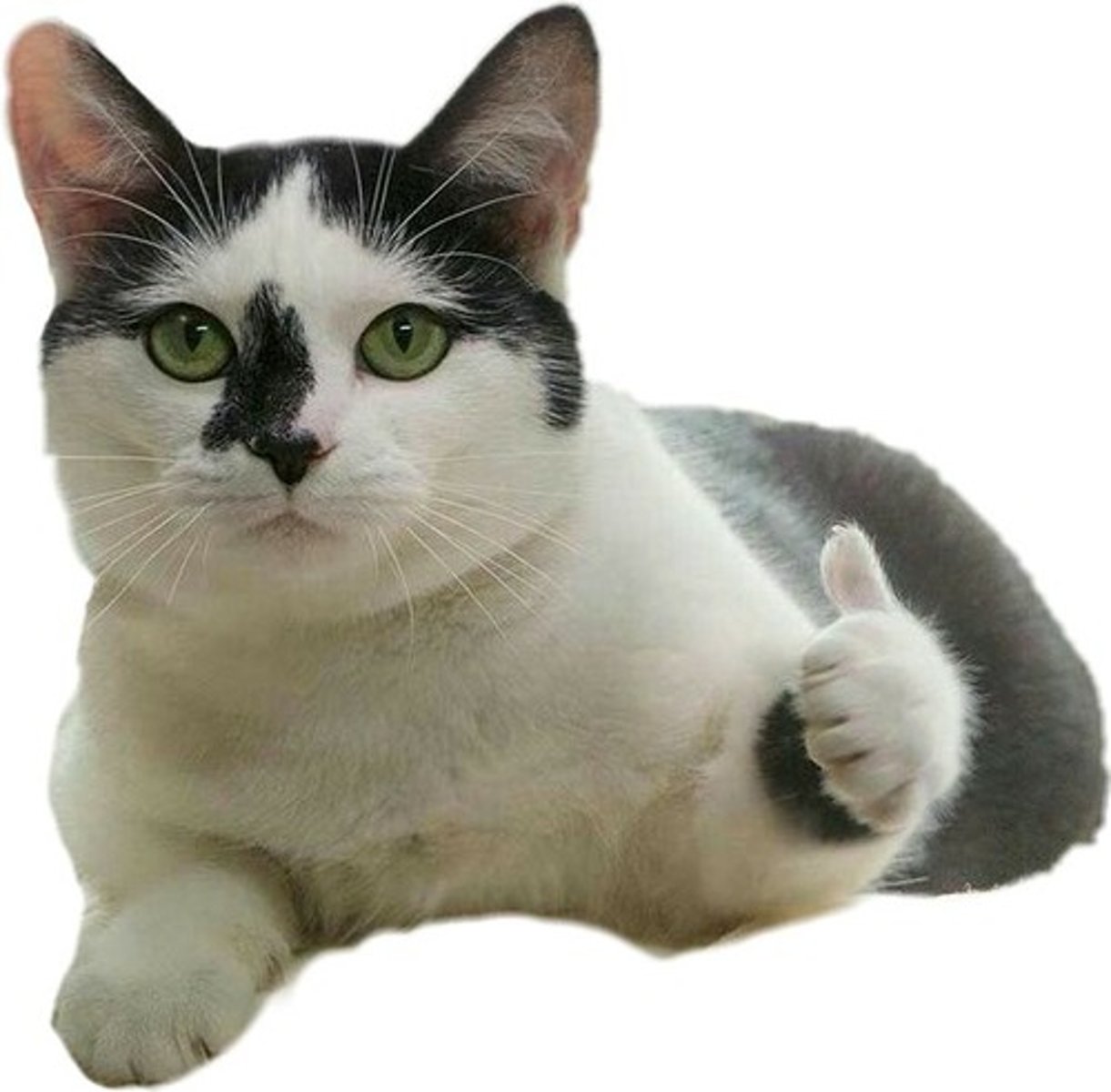 <p>Used to confirm that there is a high probability or possibility. Це цілком можливо.</p>
