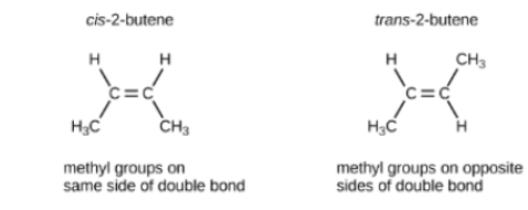 <p>________ have a different arrangement of atoms around a double bond</p>