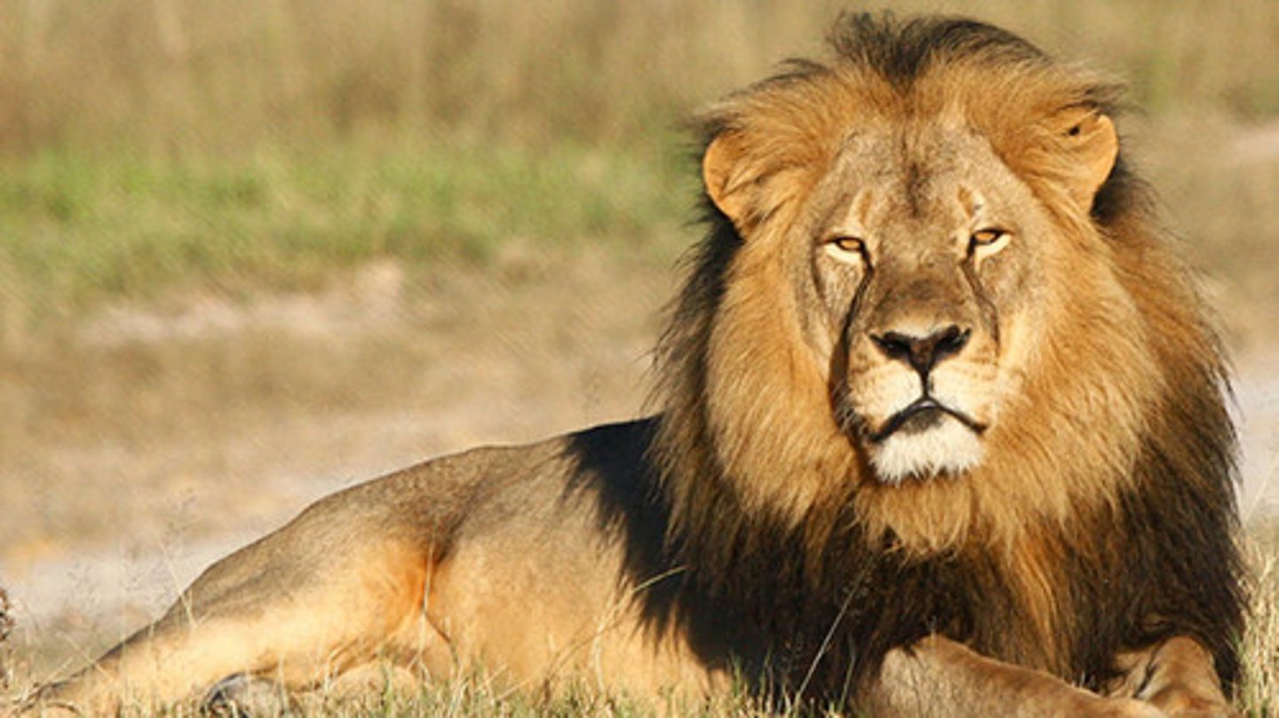 Macromolecules and Enzymes Diagram Quizlet Flashcards Knowt