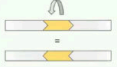 <ul><li><p>This is where the <strong><span style="color: yellow">segment of DNA happens</span></strong>. Inside the chromosome, the <strong><u><span style="color: yellow">orientation gets flipped</span></u></strong> which is relative to the normal orientation of the chromosome or DNA sequence.</p></li></ul><p></p>