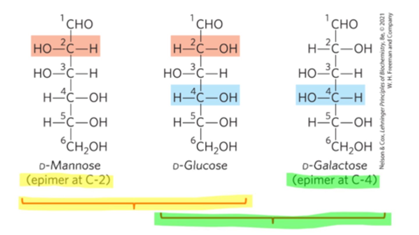 <p>Stereoisomers that have &gt;1 chiral carbons, but only differ at 1</p>