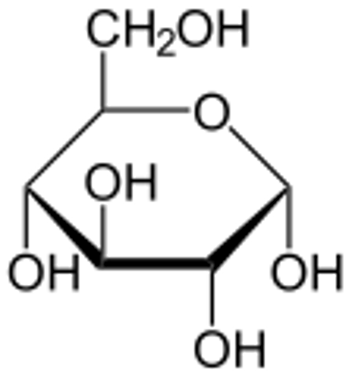<p>monosaccharide (simple sugar)</p>
