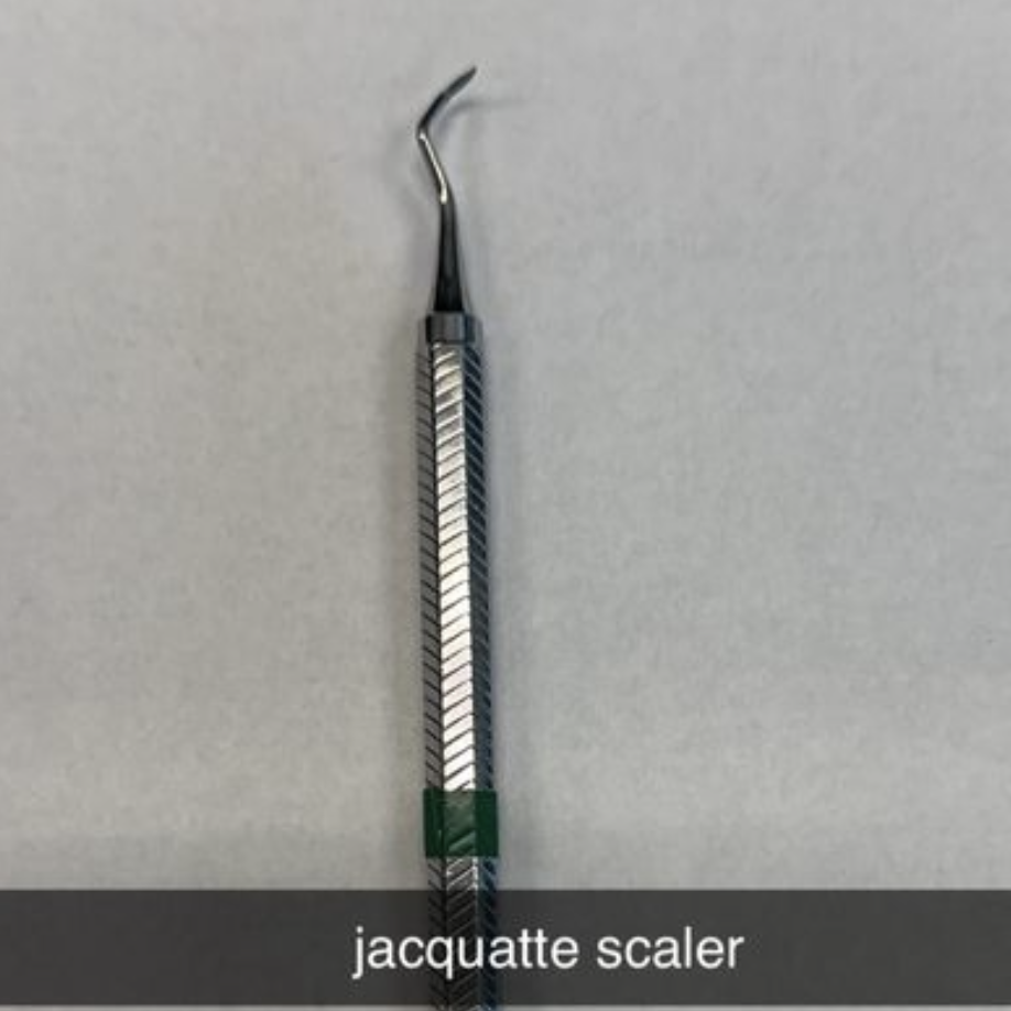 <p>JACQUATTE SCALER</p>