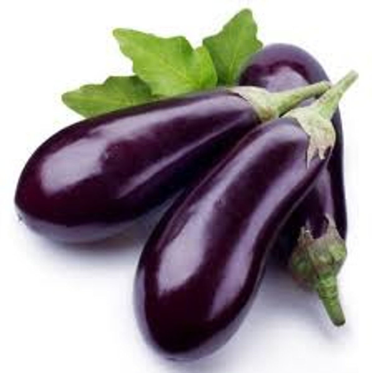 <p>eggplant</p>