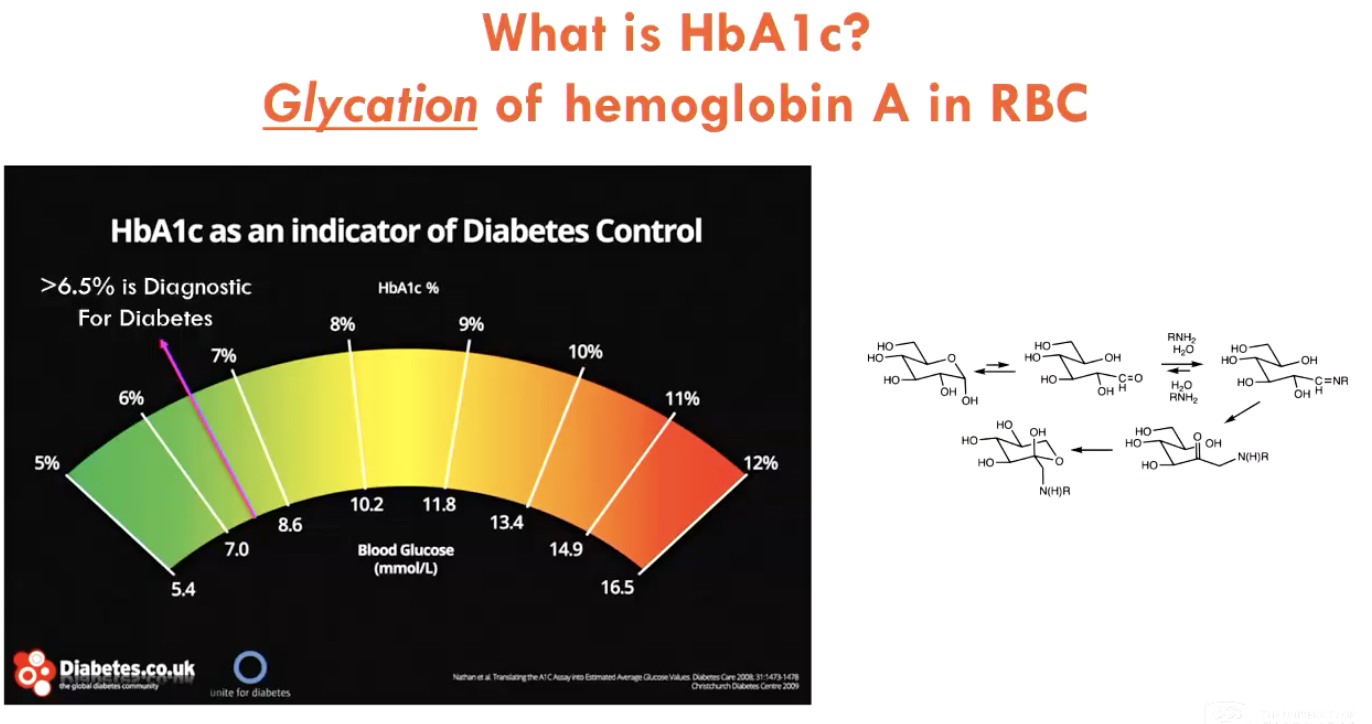 <p>HbA1c is the <strong>glycation</strong> of haemoglobin A in RBCs</p><ul><li><p>is a slow process (indicates ~past 3 months), therefore high % represents long-term elevated blood glucose</p></li></ul><ul><li><p>HbA1c serves as an indicator of diabetes control (&gt;6.5%)</p></li></ul><p></p>