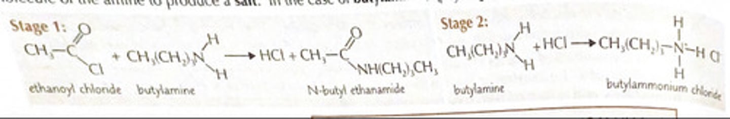 <p>H atoms swaps for the acyl group to produced N- subsisted amines and HCL</p><p>Hal reacts to another molecules of the amines to produced a salt</p><p>for enthnoyl chlorine added to concentrated aq solution of amines violent reaction occur solid white mixture of products</p><p>ch3cocl + 2c4H9NH2 -- CH3CONHC4H9 + (c4H9nh3)+CL-</p>