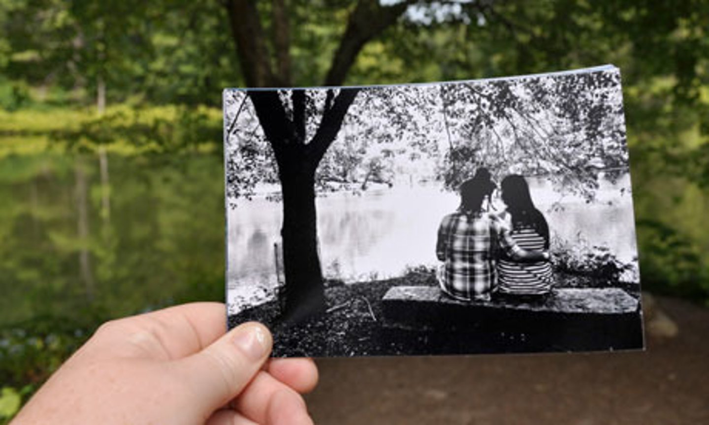 <p>the photo</p>