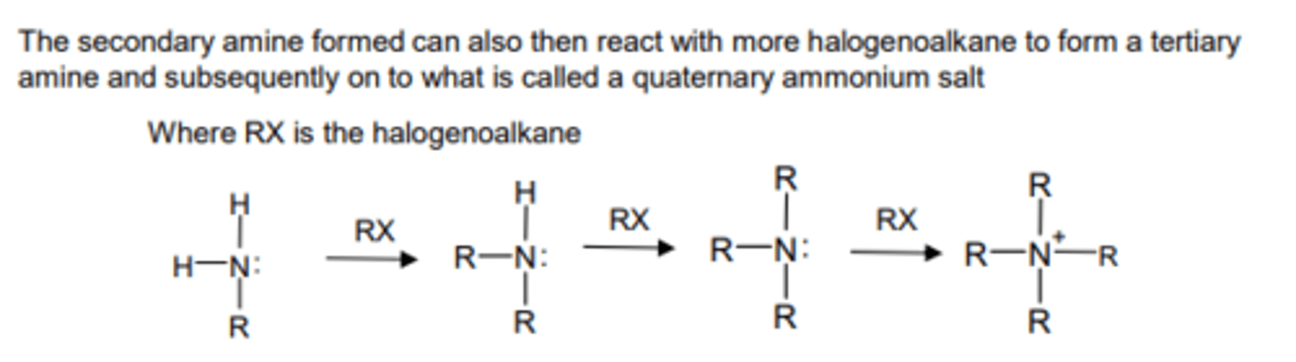 <p>R'NH₂ + R"X → R'NHR" + HX</p><p>where R' is the alkyl group in the amine and R" is the alkyl group in the halogenoalkane</p>