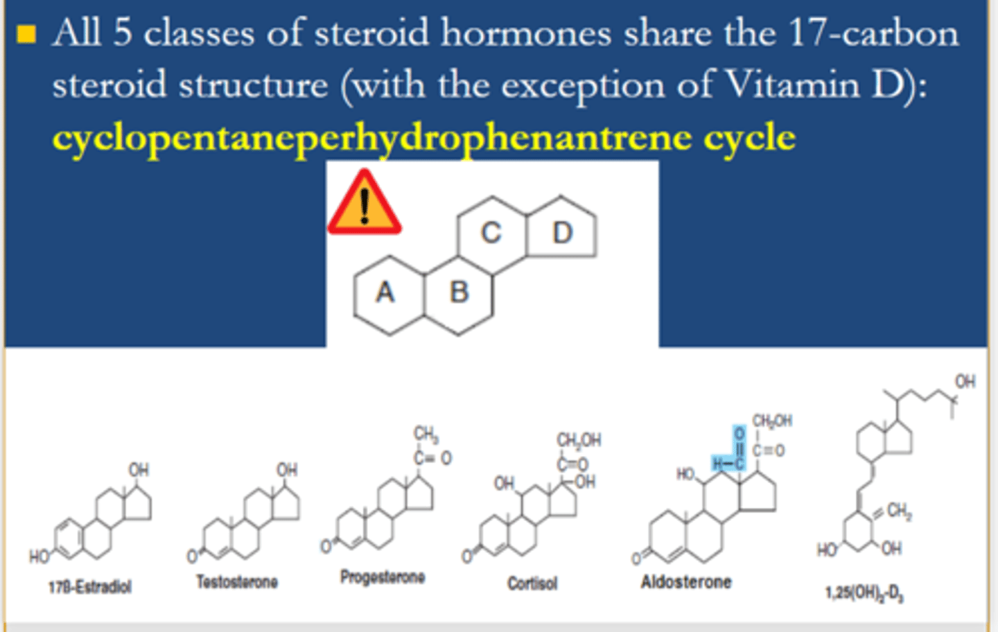 <p><span class="bgY">Common molecular nucleus of steroids</span></p>