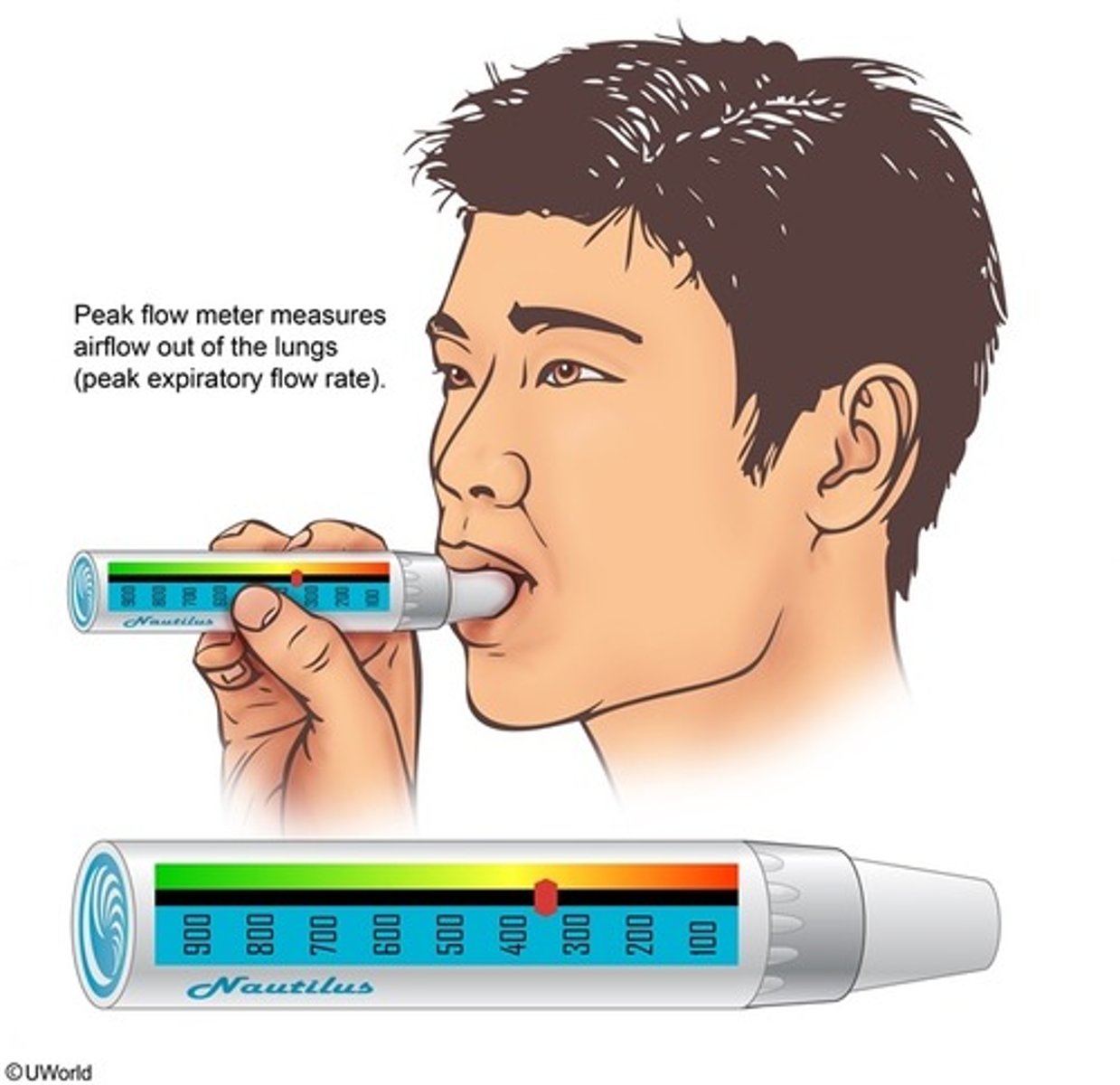 <p>peak expiratory flow</p>