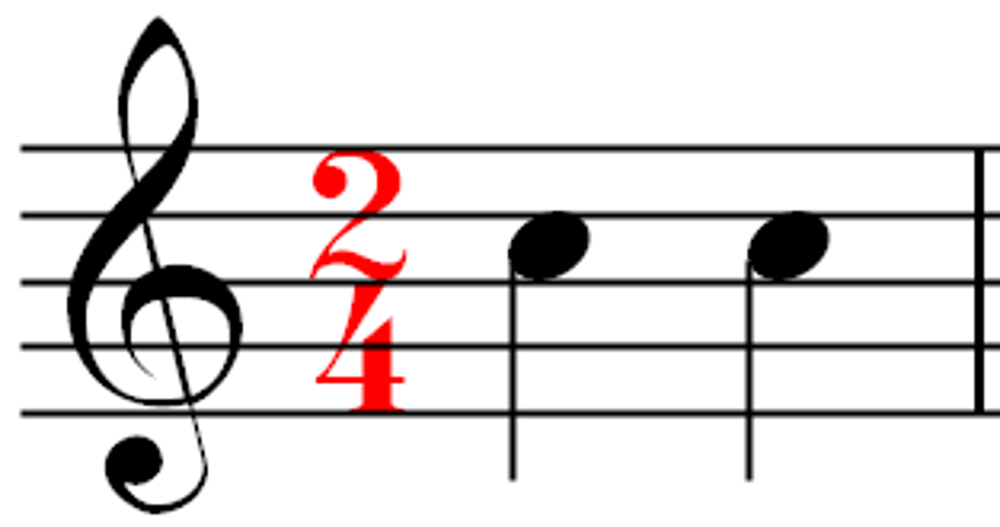 <p>the regular pattern of beats indicated by a time signature</p>