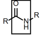 <p>Amide</p>