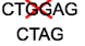 <p>→ Nitrogenous bases that are <u>removed</u> from the original strand of DNA</p>