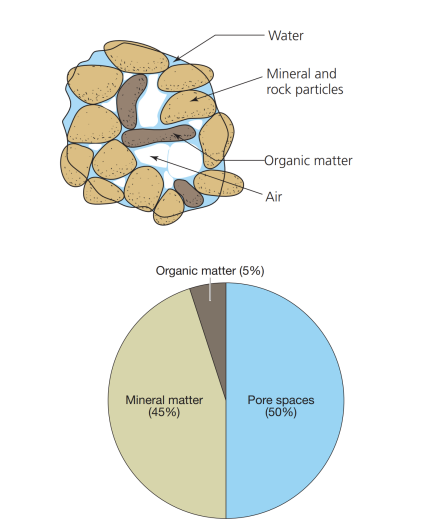 <p>what is soil <strong>made of?</strong></p>