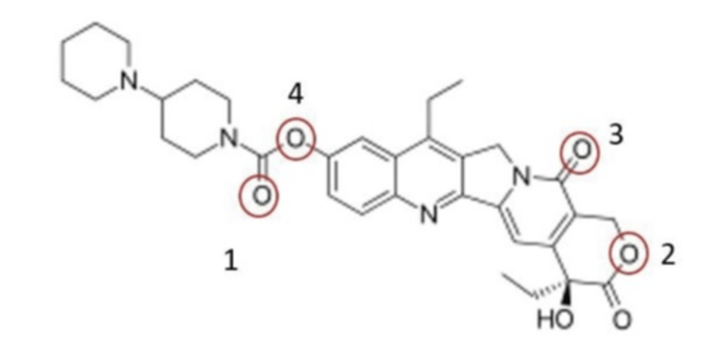 <p>Which circled oxygen is within the lactone component of the irinotecan pharmacophore?</p>