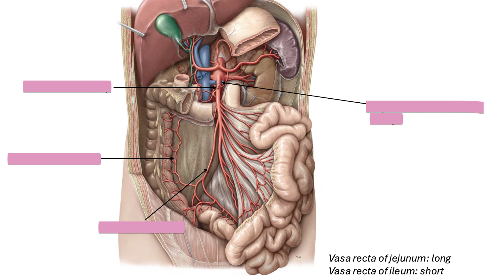 <p>Fill in the blank </p>