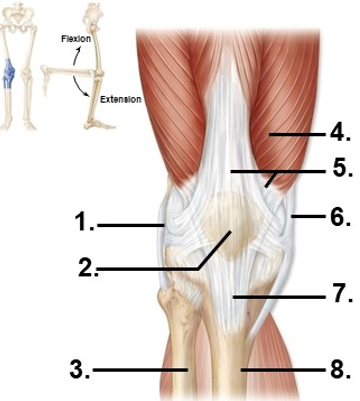 <p>Name structure 8</p>