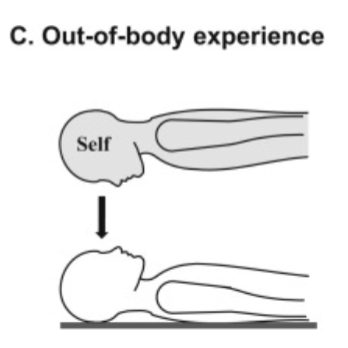 <p>inhabiting another body (usually hovering above) - you perceive yourself as looking down @ your physical body</p>