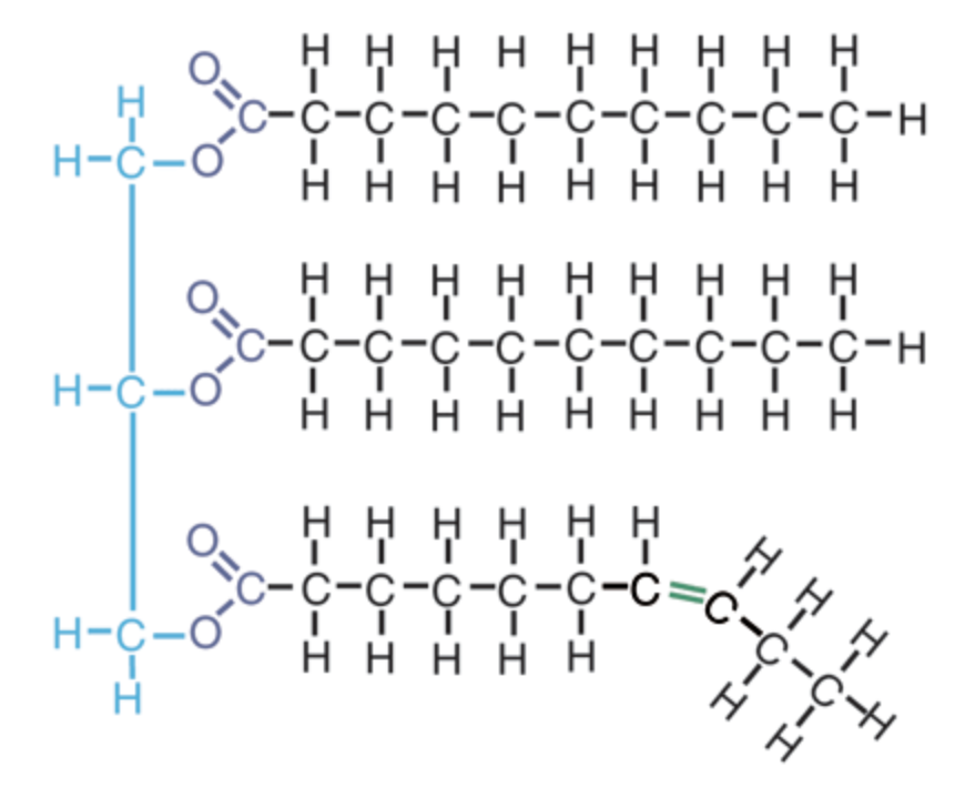 <p>what macromolecule does this structure represent?</p>