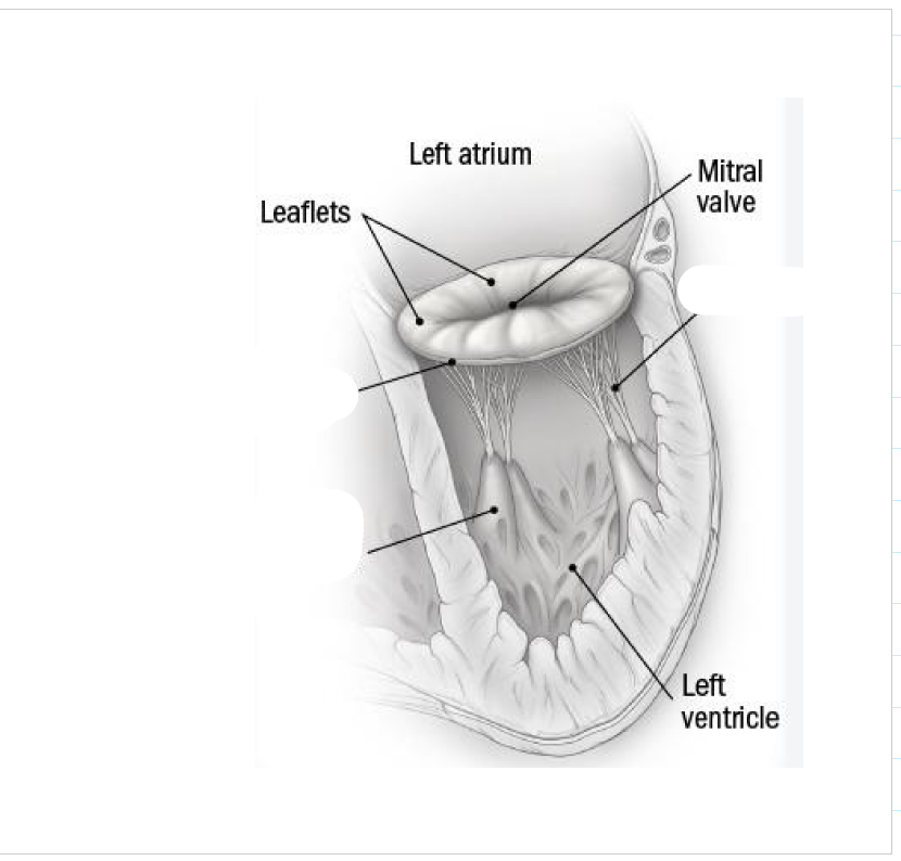 <p>label these 3 </p>