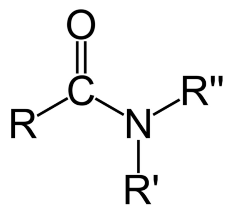 <p>-amide</p>