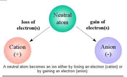 <p>A neutral atom must <u>gain</u> electrons to become a negative ion (anion) </p>