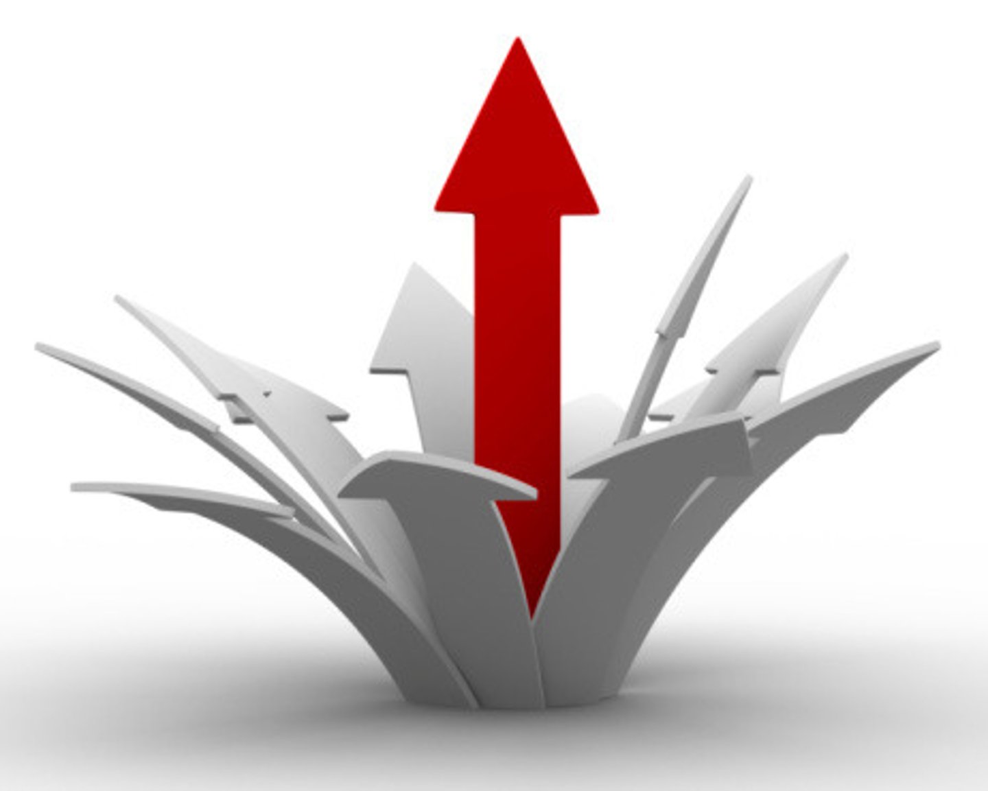 <p>expand, broaden, extend</p>