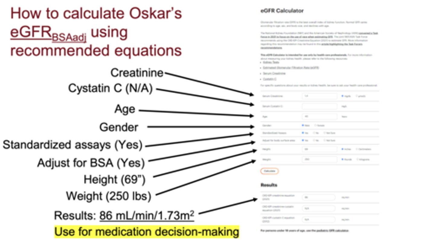 <p>Cockcroft-Gault (rounded to mL/min using AdjBW for obesity).</p>