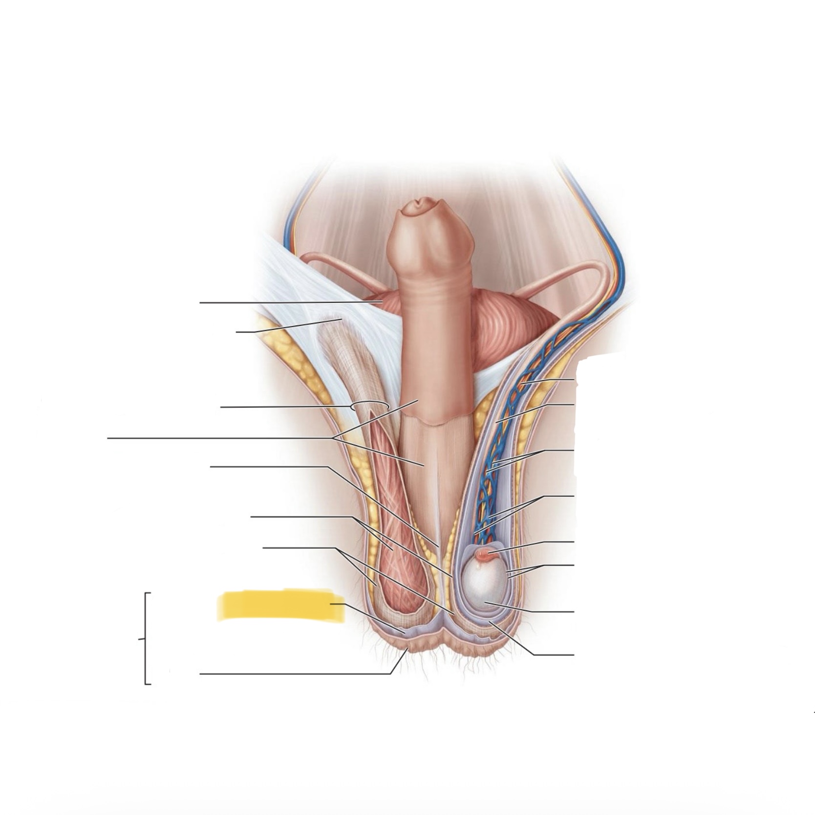 <p>What is this structure?</p>
