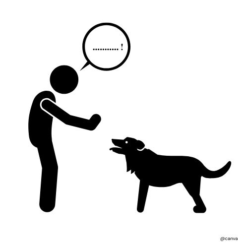 <p><strong>blijven</strong></p><p>bleef - bleven - gebleven</p>