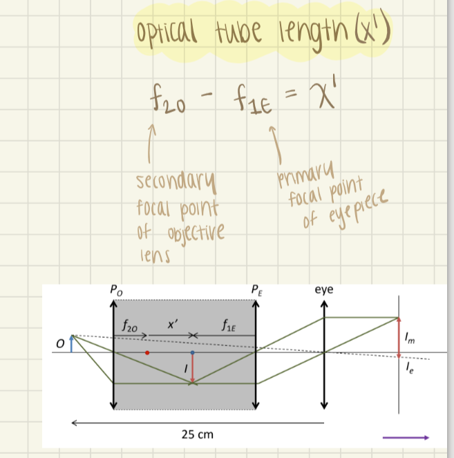 <p>x’ (the distance between f<sub>2 </sub>of P<sub>o</sub> and f<sub>1</sub> of P<sub>e</sub>)</p>