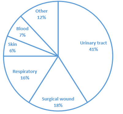 <p><mark data-color="yellow">INCIDENCE of hospital acquired infections (SITE)</mark></p><p>Can you label, describe and explain what this diagram is/shows?</p>