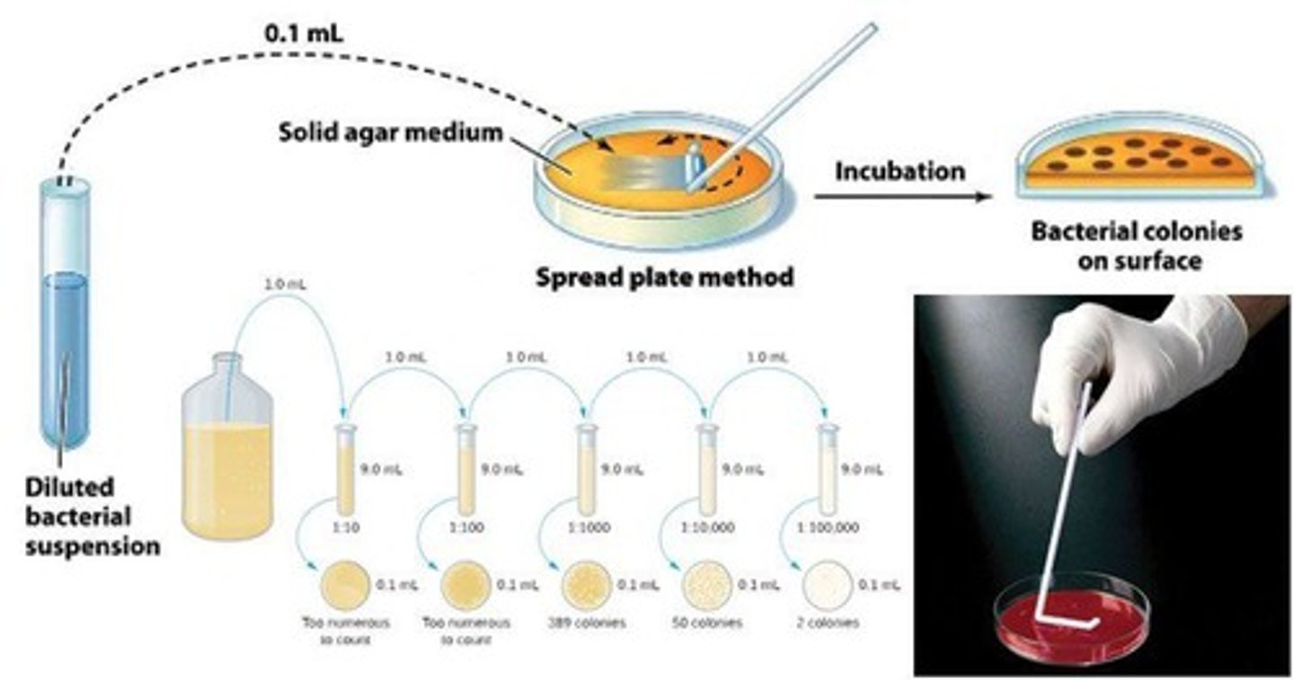 <p>CFU = # colonies/dilution factor * plating factor</p>