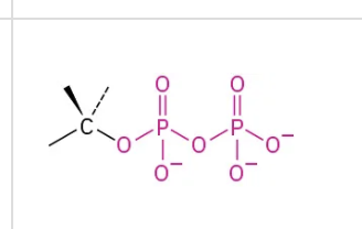 <p><span style="font-size: 1.6rem;">Two Phosphate groups (PO</span><sub>3<sup>2-) </sup></sub><span style="font-size: 1.6rem;">bonded to a molecule</span></p>