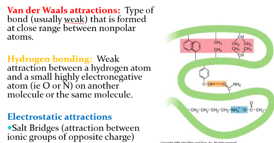
1. van der waals attractions: weak bond froms at a close range between nonpolar atoms
2. hydrogen bonding (weak on its own but can have multiple H-bond that make it strong) - hydrogen atoms and usually O or N
3. Electrostatic attractions - salt bridges (attraction between ionic groups of opposite charge)