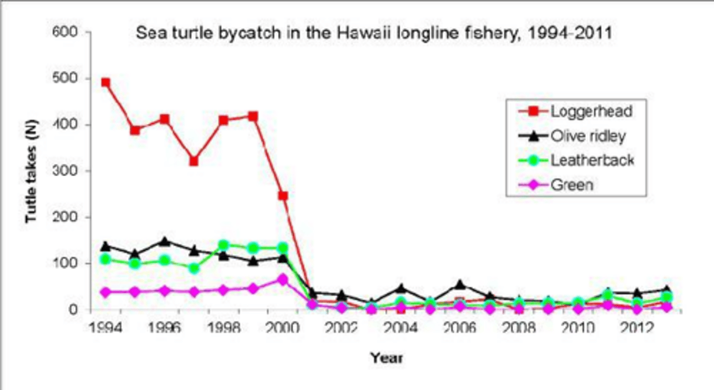 <p>Unintended catch of non-target species during fishing, which can be as high as 90% in some methods.</p>