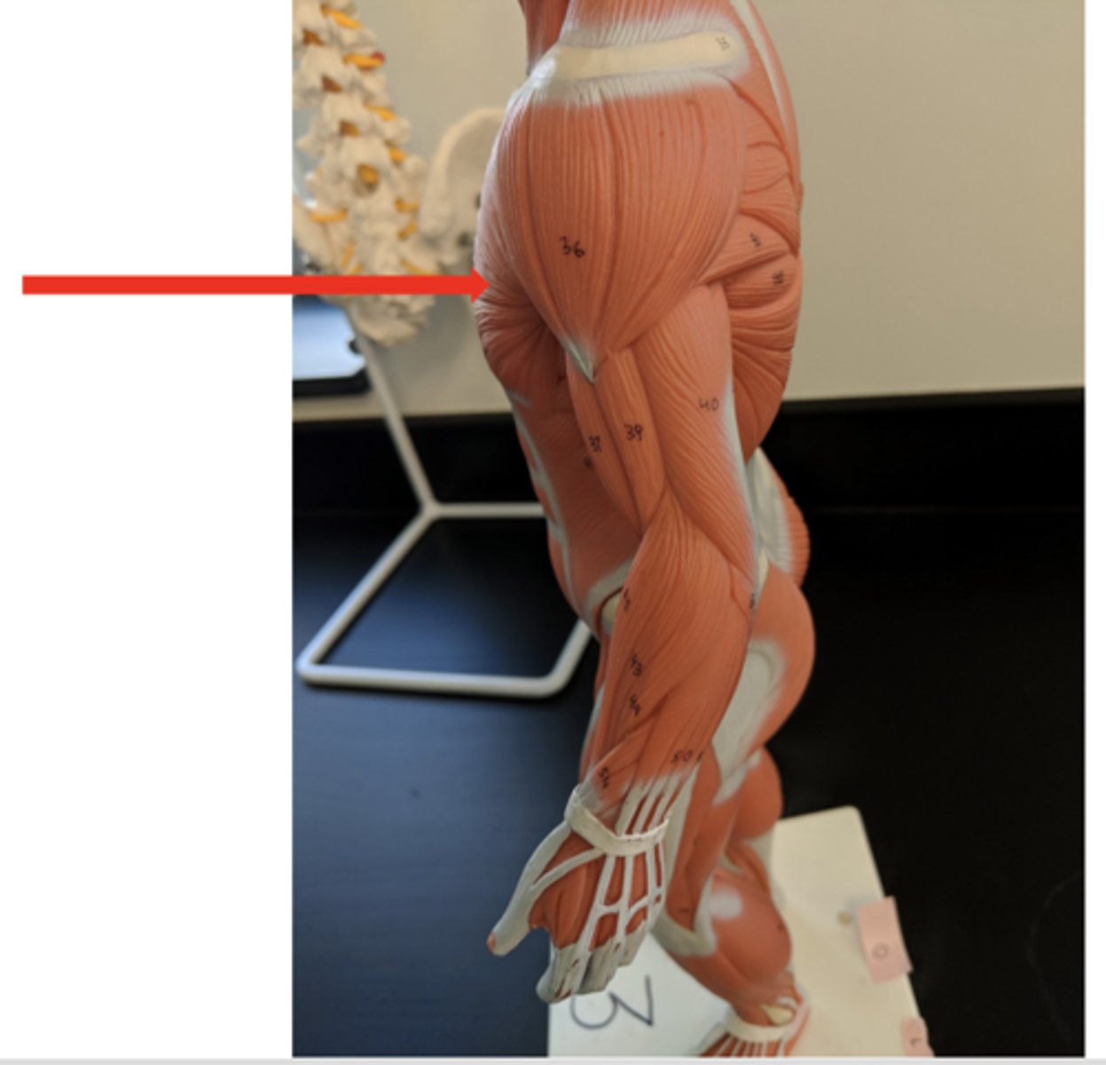 <p>what is this?</p>