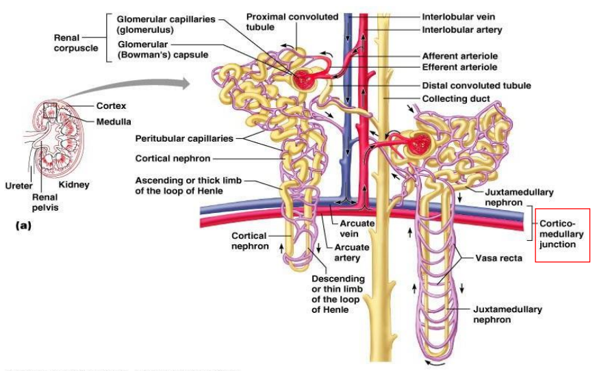 <p>DIAGRAM ON SLIDE 14</p>