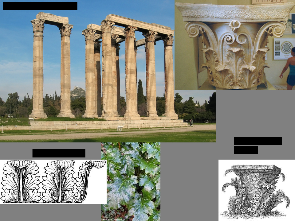 Corinthian order