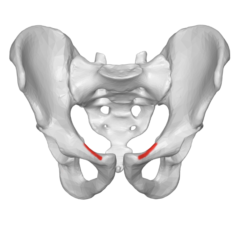 <p>the top of the small ridge above the hole</p>