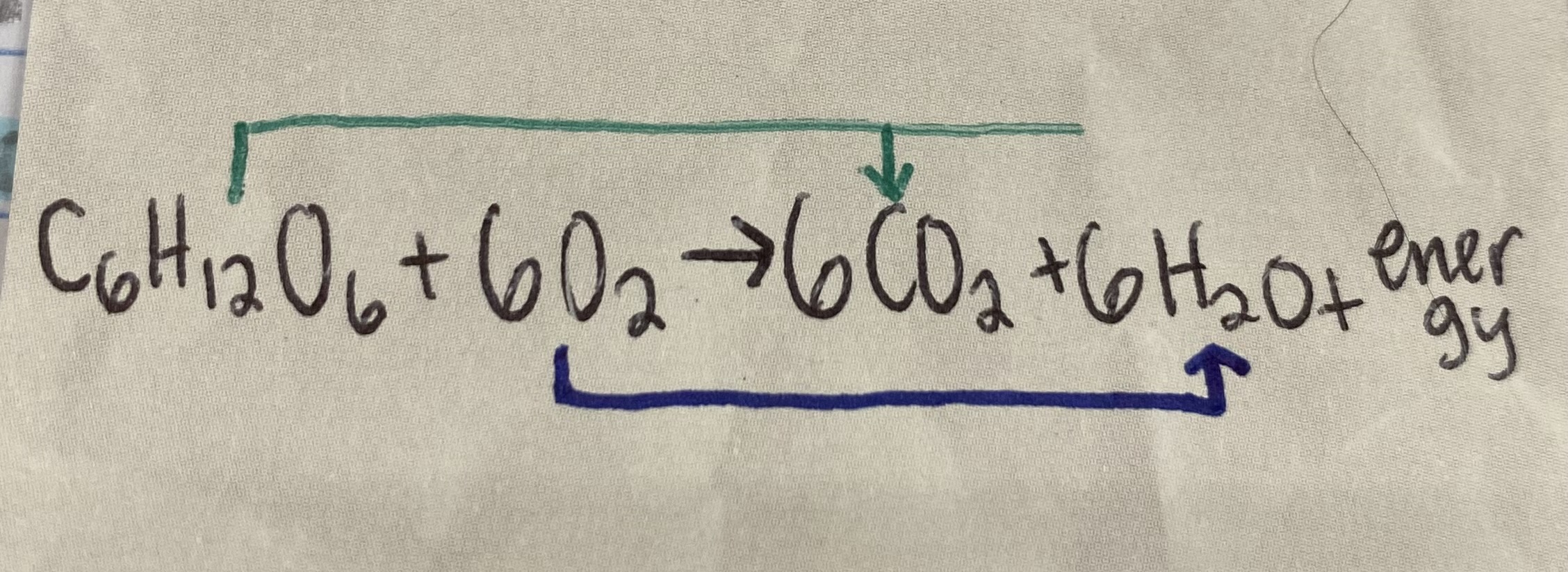 <p>What gets oxidized in cellular respiration?</p>