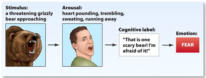 <p>A theory of emotion that states that both physiological arousal and cognitive appraisal must occur before an emotion is consciously experienced.</p>