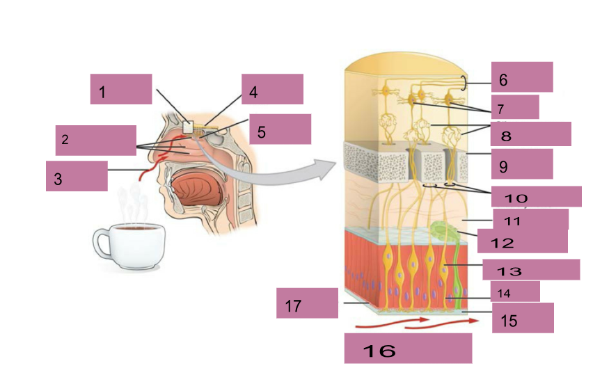 <p>What is number 11</p>